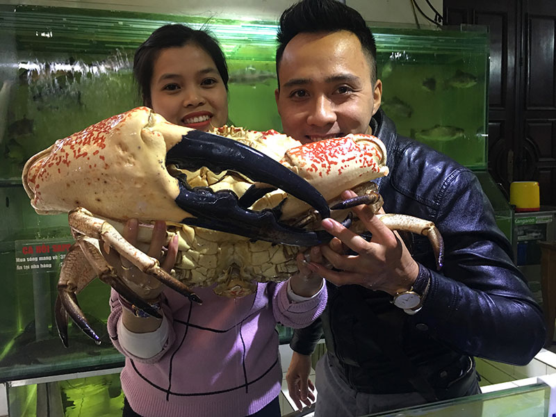 Chiêm ngưỡng và thưởng thức loại Cua TASMANIA lớn nhất và đắt nhất thế giới Chiêm ngưỡng và thưởng thức loại Cua TASMANIA lớn nhất và đắt nhất thế giới